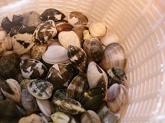 f0123373_20121468.jpg
