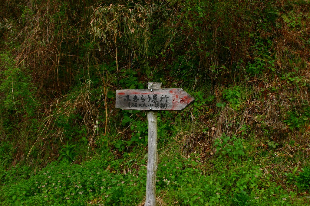 e0018678_21583111.jpg