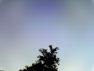 f0075779_1535112.jpg