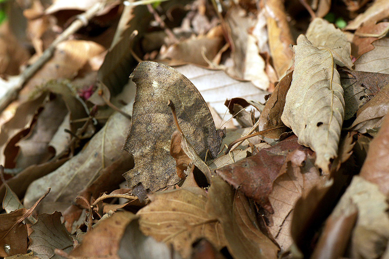 f0090680_22552057.jpg