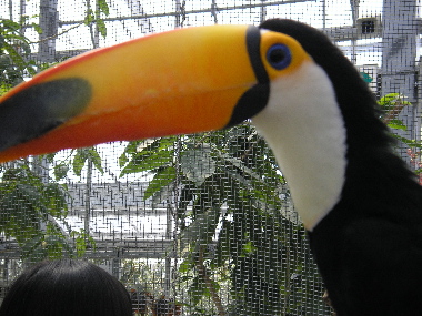 d0114782_14565635.jpg