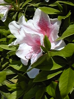 f0042382_2324244.jpg
