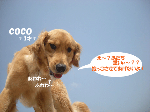 e0066883_2340141.gif