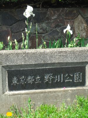 b0101991_223305.jpg