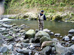 f0141392_8152661.jpg