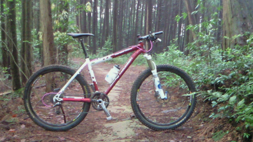 c0086693_1463941.jpg
