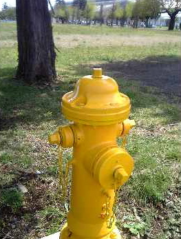 e0149593_21111131.jpg