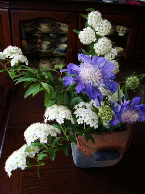 f0137694_145111.jpg