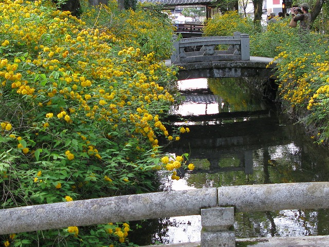 f0181394_12495359.jpg