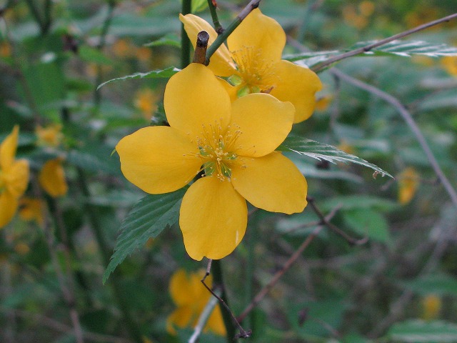 f0181394_1250310.jpg