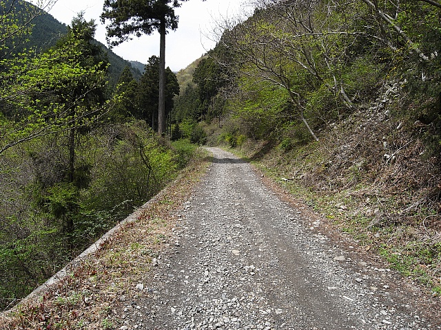 b0082895_1417585.jpg
