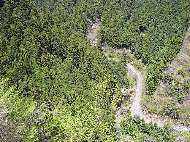 b0082895_1429156.jpg