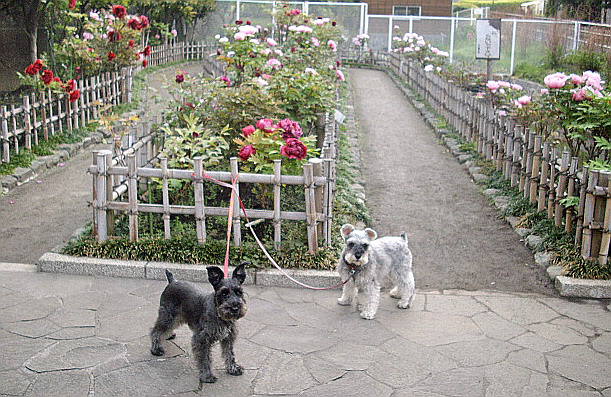 c0138198_16281085.jpg