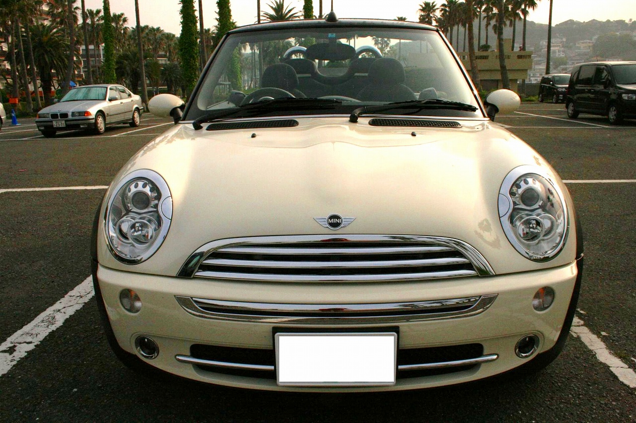 d0077699_1134242.jpg