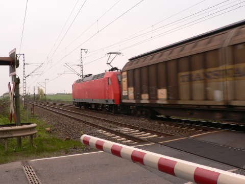 a0056401_8551218.jpg