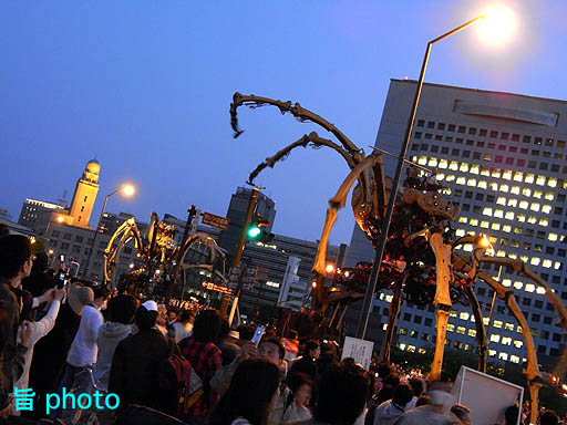 b0061004_1656532.jpg