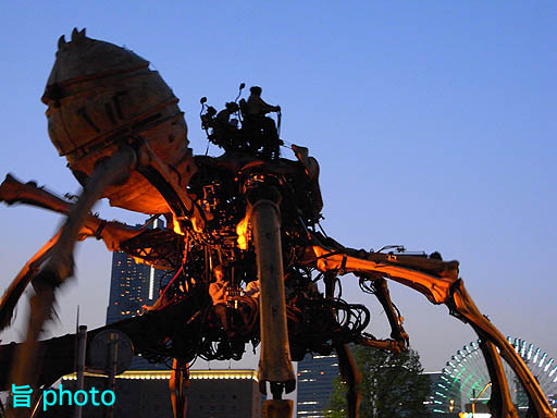 b0061004_1657418.jpg