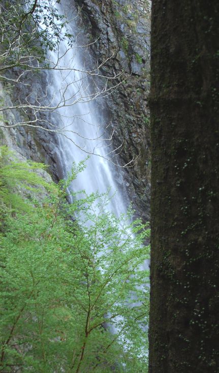 c0084506_1052322.jpg