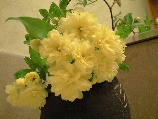 d0000607_935786.jpg