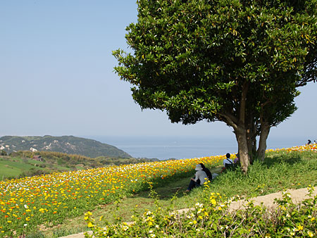 a0041508_17184425.jpg