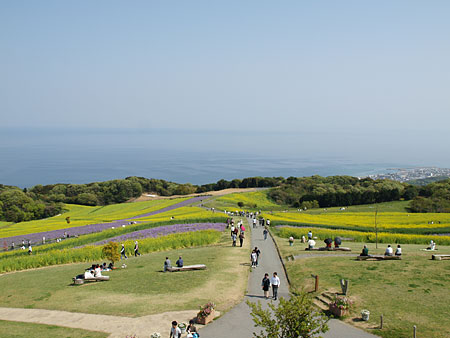 a0041508_17185525.jpg