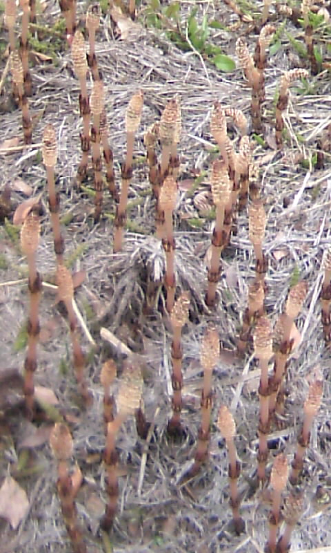 d0069311_2332556.jpg