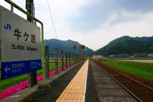 f0201711_101235.jpg