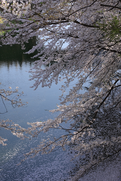 e0121814_038239.jpg