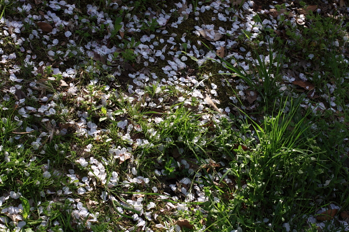 e0121814_0423135.jpg