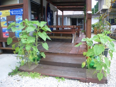 b0089616_11482493.jpg