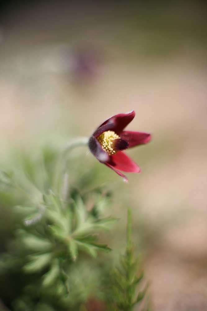 c0145418_23225811.jpg