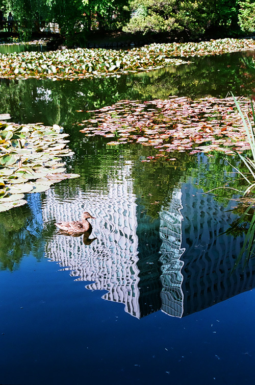 f0182924_15362145.jpg