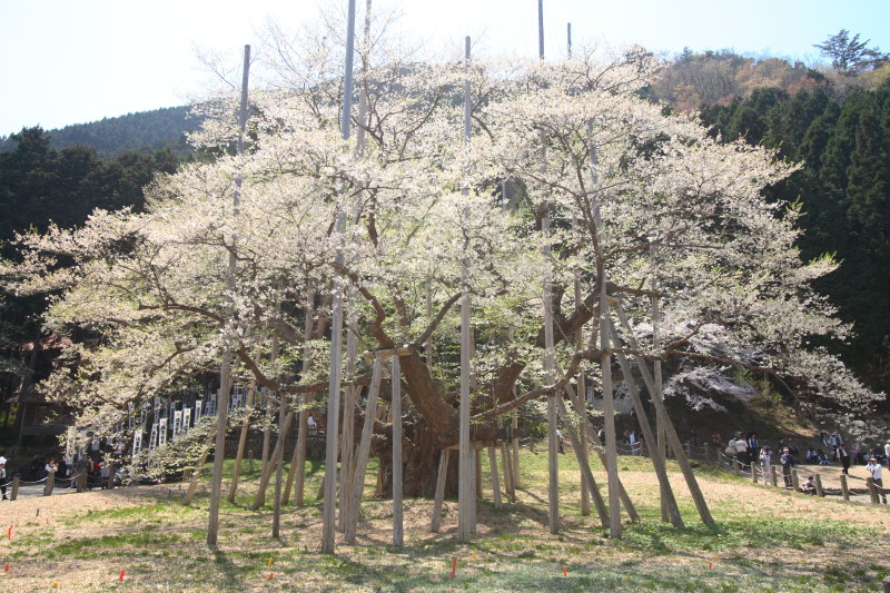 c0125325_01104.jpg
