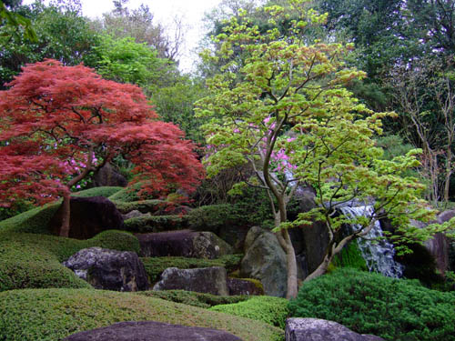 f0147025_7532914.jpg