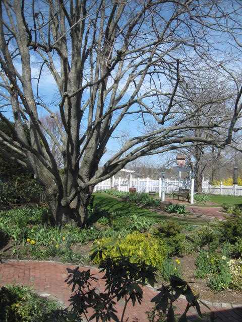 f0194826_11455098.jpg