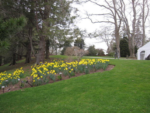 f0194826_11523349.jpg