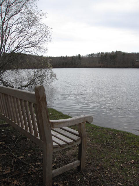 f0194826_11533388.jpg