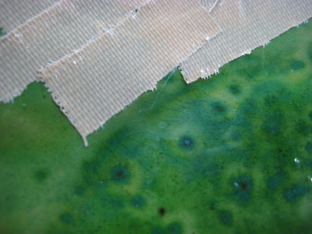 d0147727_2017479.jpg