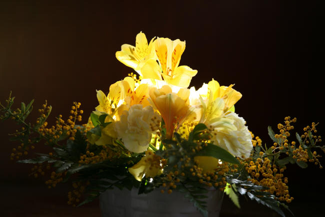 f0017530_23333171.jpg