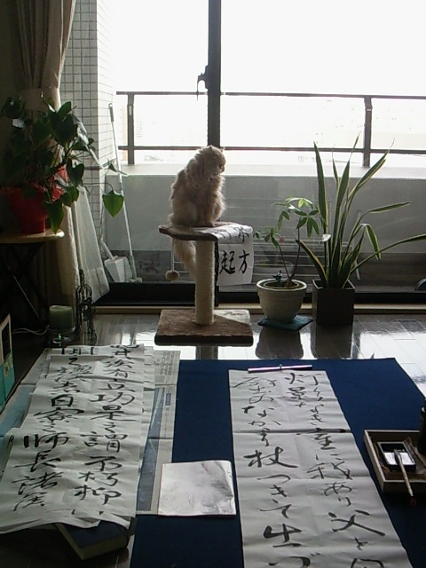 a0076031_23192359.jpg