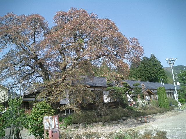 c0114833_1014376.jpg