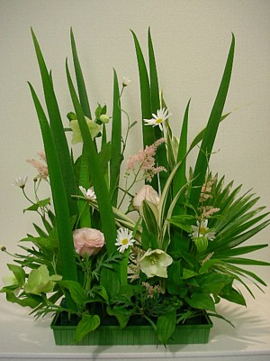 c0038434_20212541.jpg