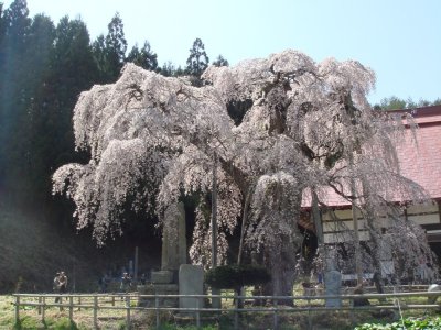 c0025938_958726.jpg