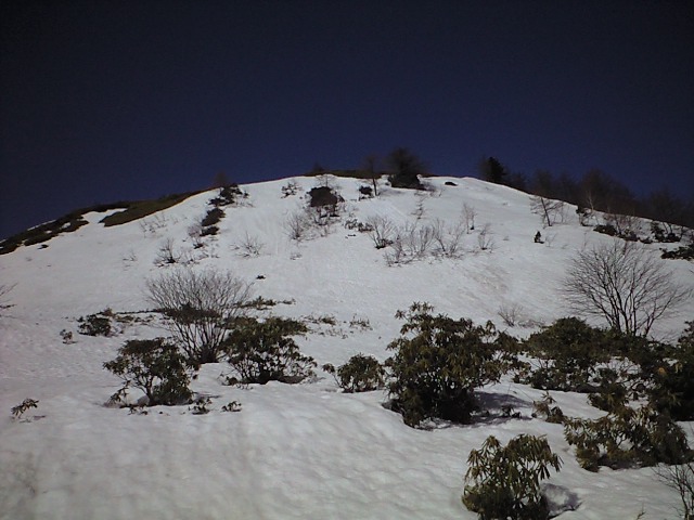 d0107938_12164936.jpg