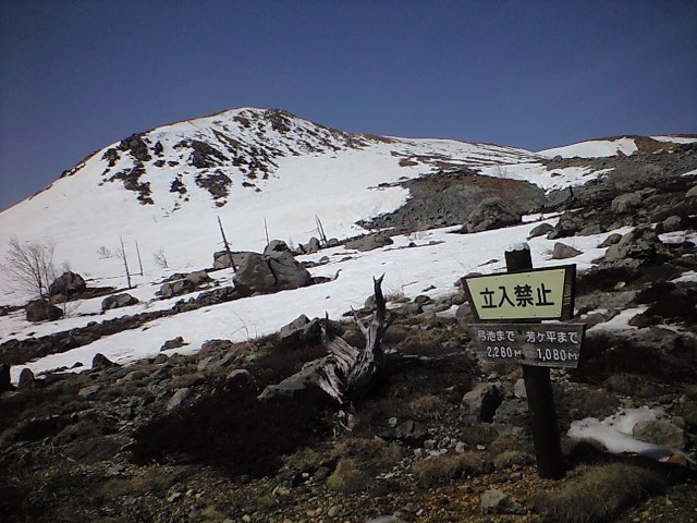 d0107938_1221950.jpg