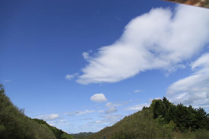 b0168041_17105556.jpg