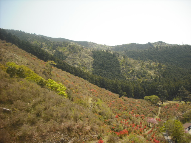 c0194042_21221410.jpg