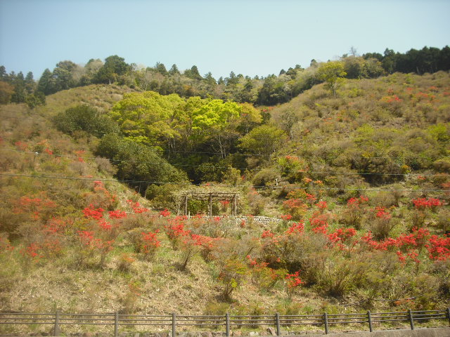 c0194042_2184423.jpg