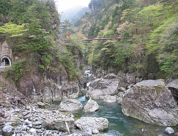 c0181543_23392256.jpg