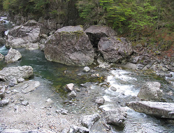 c0181543_23393592.jpg